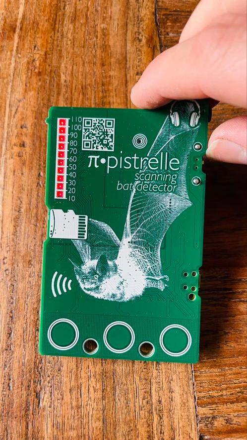 Pipistrelle Bat Detector – Ontdek de wereld van vleermuizen, Hobby en Vrije tijd, Elektronica-componenten, Nieuw, Ophalen of Verzenden