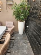 Kunstplanten, Tuin en Terras, Ophalen, Zo goed als nieuw, Rond, Minder dan 60 cm