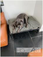 HONDENMAND / Ligbed zwarte steigerbuis