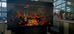 Aquarium 80 cm, Ophalen, Leeg aquarium