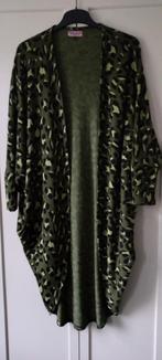 Tessa Koops vest maat M zgan, Kleding | Dames, Maat 38/40 (M), Ophalen of Verzenden, Zo goed als nieuw, Tessa Koops