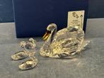 Swarovski SCS Gelimiteerde Editie 2017 Zwanen, Verzamelen, Swarovski, Ophalen of Verzenden, Nieuw, Figuurtje