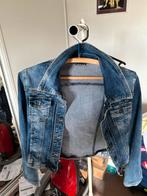 Spijkerjasje Miss Jeans, Kleding | Dames, Miss Jeans, Blauw, Ophalen of Verzenden, Zo goed als nieuw