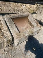 Varkens voerbakken betonnen bakken, Meerdere dieren, Varken