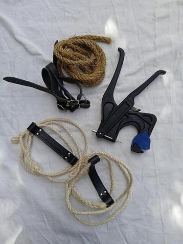 Schapen lammetjes benodigheden beschikbaar voor biedingen