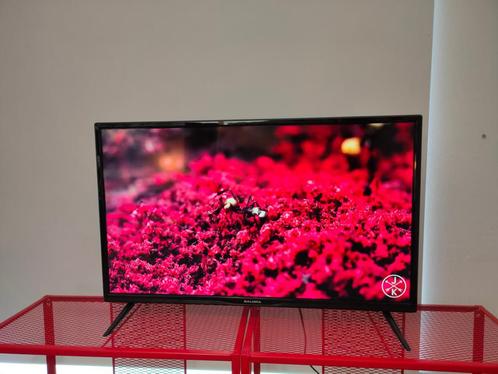 Salora 32 inch TV, Audio, Tv en Foto, Televisies, Zo goed als nieuw, LED, 80 tot 100 cm, Overige merken, 50 Hz, Ophalen