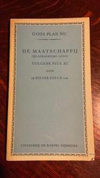 De maatschappij volgens Pius XI - Pieter Steur, Boeken, Ophalen of Verzenden, Zo goed als nieuw
