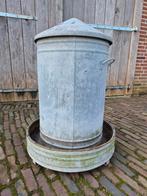 Voedersilo, Mannelijk, Kip