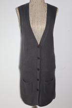 ALCHEMIST Heerlijk lang grijs vest Maat 40 / L, Kleding | Dames, Maat 38/40 (M), Alchemist, Ophalen of Verzenden, Zo goed als nieuw