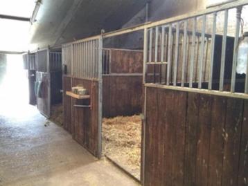 Nog een paar boxen te huur op kleinschalige stal . beschikbaar voor biedingen