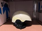 Helm voor skien of snowboarden - maat M (55-58 cm), Gebruikt, Overige typen, Minder dan 100 cm, Ophalen