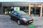Fiat Punto Evo 1.2 Dynamic, Auto's, Fiat, 1005 kg, Gebruikt, 1242 cc, 4 cilinders