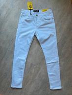 Daniel Paul - originele!, Kleding | Heren, Ophalen of Verzenden, Nieuw