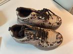 Panterprint Sneakers - Maat 41, Kleding | Dames, Schoenen, Bruin, Nieuw, Ophalen of Verzenden, Sneakers of Gympen