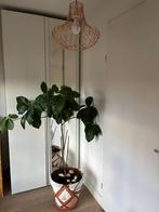 Kledingkast Brooklyn van Haco, Ophalen, Gebruikt