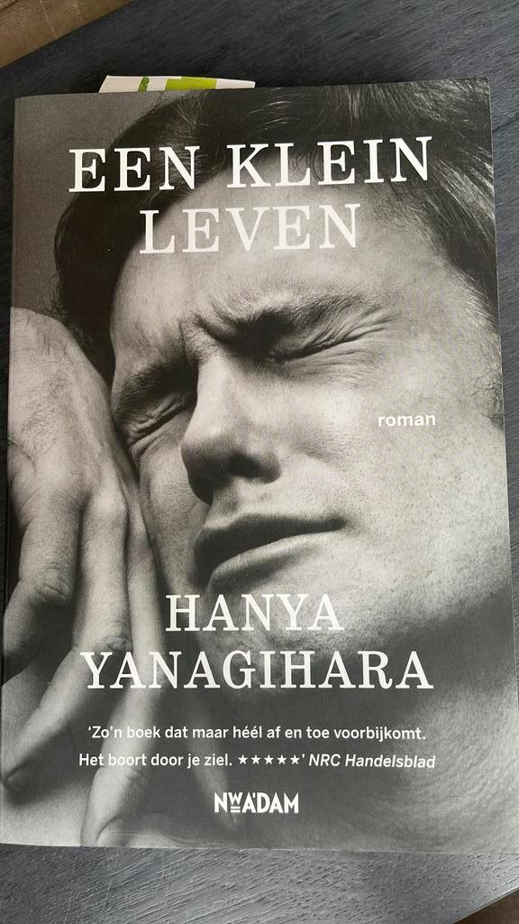 Hanya Yanagihara - Een klein leven, Boeken, Literatuur, Nieuw, Amerika, Ophalen of Verzenden