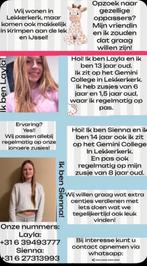 Op zoek naar oppas?, Ophalen of Verzenden