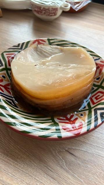 Scoby voor het maken van kombucha beschikbaar voor biedingen