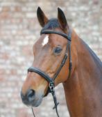 Nieuw Star Bitloos hoofdstel maat pony en full, ., Ophalen of Verzenden, Waldhausen, .