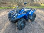 Yamaha Grizzly 450 - 2015 met Kenteken, Motoren, 450 cc, 1 cilinder, 12 t/m 35 kW