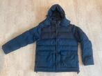Winterjas maat L Sebago Camsides, Ophalen of Verzenden, Zo goed als nieuw, Maat 52/54 (L), Blauw
