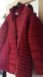 Nieuw bordeaux rode winterjas t/m 46, Ophalen of Verzenden, Nieuw, Maat 46/48 (XL) of groter, Rood