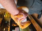 Te koop 2 ball pythons, Slang