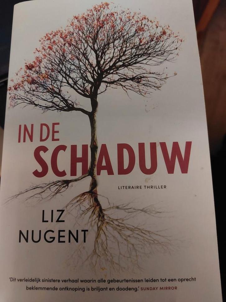Liz Nugent - In de schaduw, Boeken, Thrillers, Zo goed als nieuw, Ophalen of Verzenden