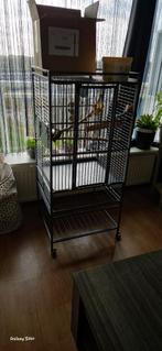 Vogelkooi en toebehoren, Dieren en Toebehoren, Vogels | Hokken en Kooien, Ophalen, Gebruikt, Metaal, Vogelkooi