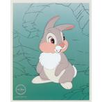 They Call Me Thumper! kaart - Disney bij Stichting Superwens, Ophalen of Verzenden, Nieuw