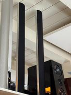 Bang&Olufsen Beolab 6000 luidsprekers, Denemarken, Bang&Olufsen, 60 tot 120 watt, Front, Rear of Stereo speakers
