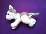 NICOTOY Knuffel HOND HUSKY MET KRAALOGEN. 30 CM LIGGEND, Ophalen of Verzenden, Nieuw, Hond