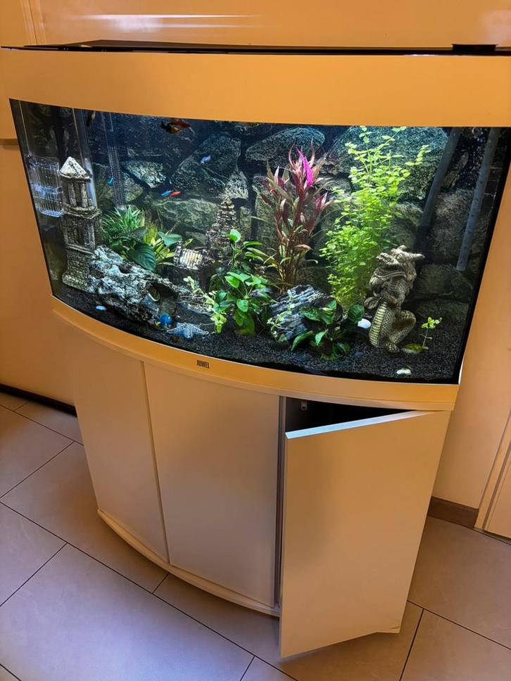 Juwel Aquarium 180liter, Dieren en Toebehoren, Vissen | Aquaria en Toebehoren, Gebruikt, Gevuld zoetwateraquarium, Ophalen of Verzenden