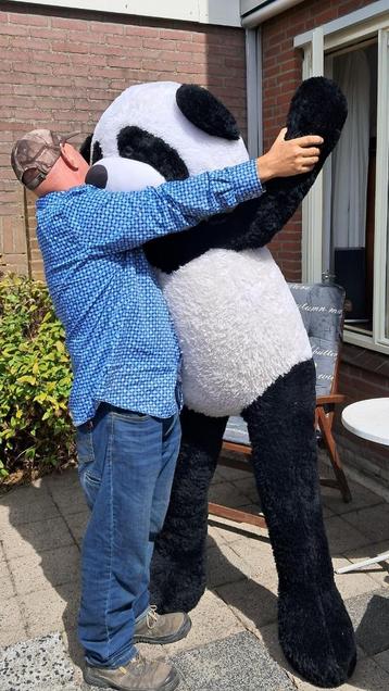 Kingsize Reuze Panda speelgoed beer/knuffel beschikbaar voor biedingen