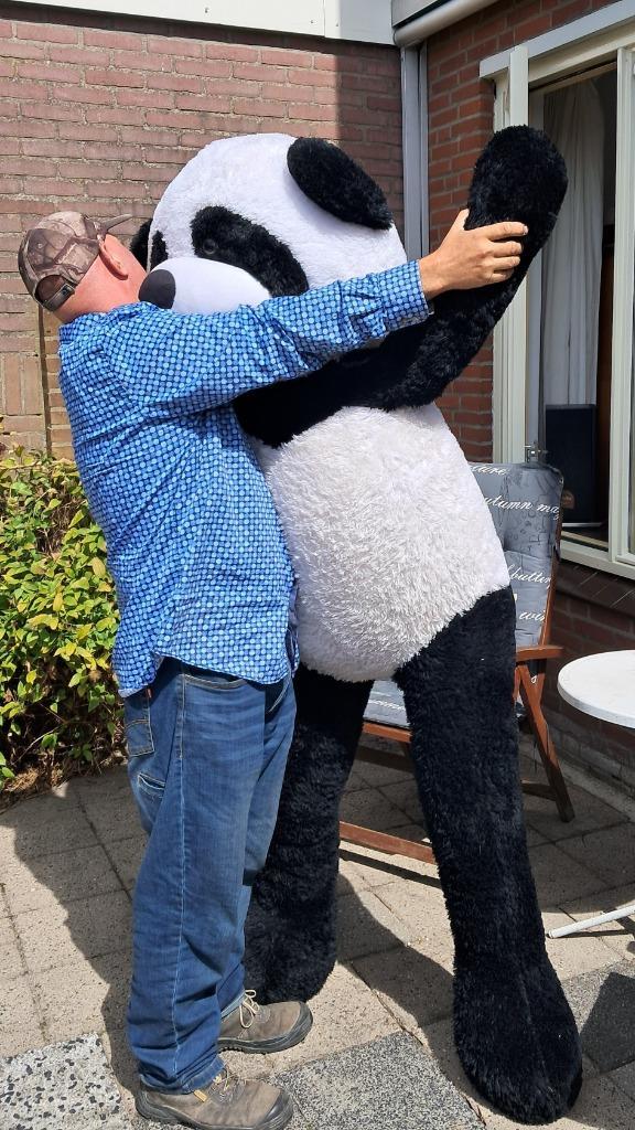 Kingsize Reuze Panda speelgoed beer/knuffel, Kinderen en Baby's, Speelgoed | Knuffels en Pluche, Gebruikt, Beer, Ophalen