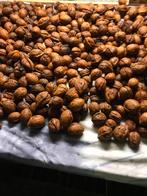 WALNOTEN 2025, Diversen, Ophalen