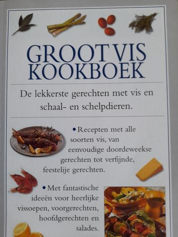 Kookboek - Groot Vis beschikbaar voor biedingen