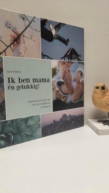 Wallace, Sara; Ik ben mama en gelukkig !  beschikbaar voor biedingen