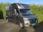 Horsetruck / Paardenvrachtwagen NIEUW 2025 BPM VRIJ Hengsten, Renault, Overige brandstoffen, Particulier, Te koop