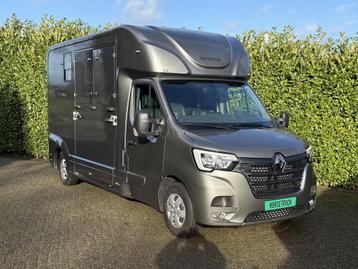 Horsetruck / Paardenvrachtwagen NIEUW 2025 BPM VRIJ Hengsten beschikbaar voor biedingen