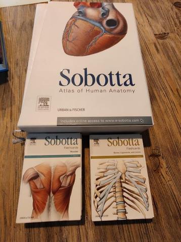 Sabotta, Atlas of Anatomy + flashcards beschikbaar voor biedingen