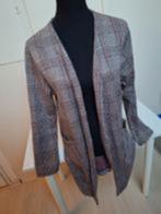 Geruit lang jasje maat XL, Ophalen of Verzenden, Zo goed als nieuw, Maat 46/48 (XL) of groter, Jasje