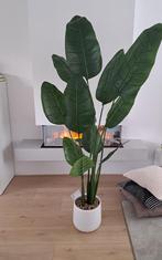 Kunstplant 180cm hoog NIEUW tuin  Riviera westwing zara ikea, Ophalen, Overige soorten, 150 tot 200 cm