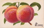 AK HERO -Lenzbourg _Perziken, Verzenden, Voor 1920, Ongelopen, Noord-Brabant