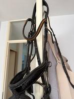 Schockemöhle Hoofdstel Malibu Full, Dieren en Toebehoren, Paarden en Pony's | Hoofdstellen en Tuigage, Ophalen of Verzenden, Zo goed als nieuw