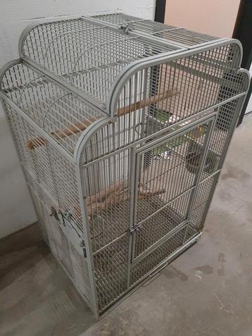 Mooie stevige papagaaienkooi vogelkooi beschikbaar voor biedingen