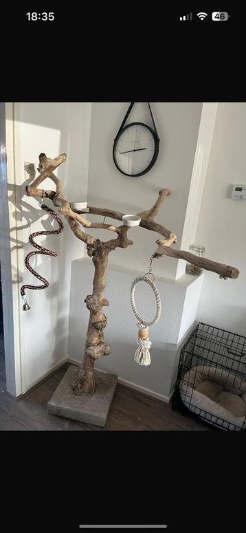 Javaboom beschikbaar voor biedingen