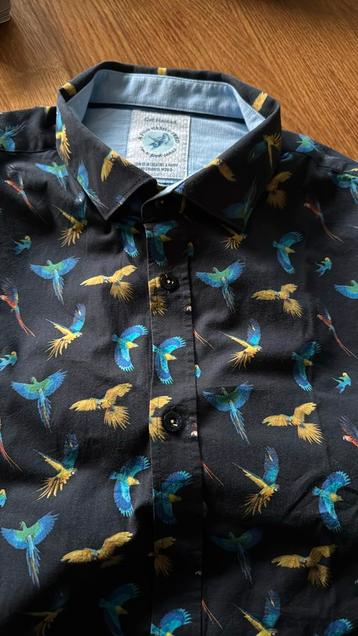 Mooie blauwe blouse  print a fish named fred. Eu XL maat beschikbaar voor biedingen