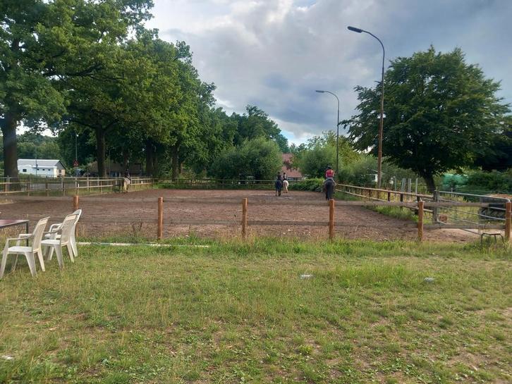 Pensionstalling Wageningen aangeboden, Dieren en Toebehoren, Stalling en Weidegang, Stalling, Weidegang