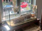 Glazen bak aquarium terrarium kooi, Ophalen, Zo goed als nieuw, Leeg aquarium